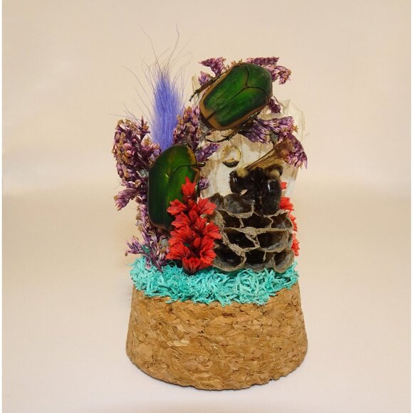 June Bug Bee Wasp Nest & Luna Moth Wing Oddity Dome curiosity taxidermy goth - Picture 2 of 13